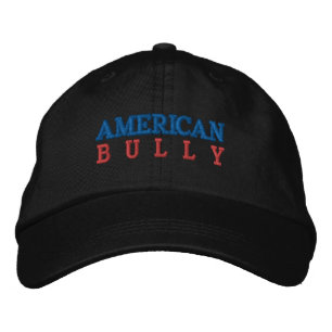 GORRA BORDADA AMERICANO BULLY
