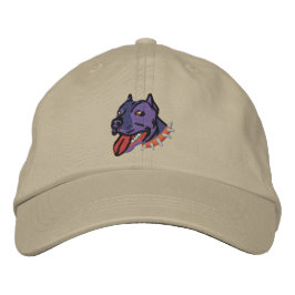 Gorra Bordada Bully Cap