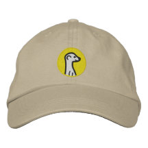Cap MeerKat