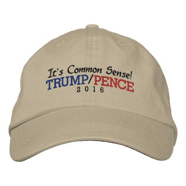 Gorra Bordada Es de sentido común la valla de Trump 2016 (Anverso)