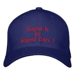 Gorra Bordada ¡Estúpido es, como lo hace el Estúpido!