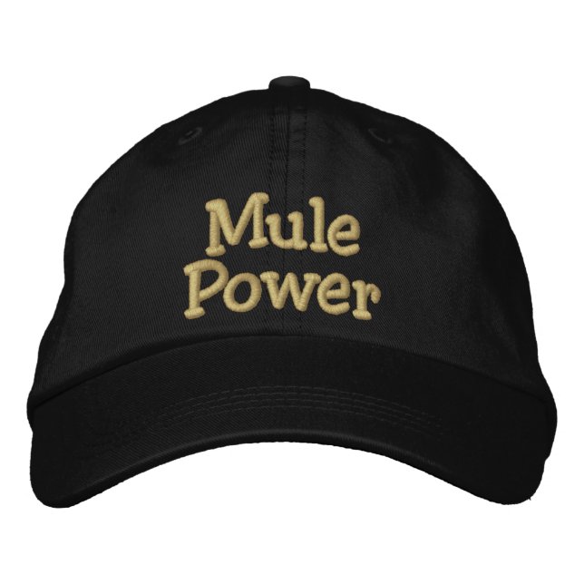 Gorra Bordada Mule Power (Anverso)