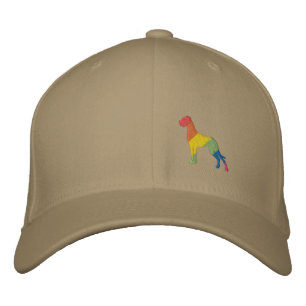 Gorra Bordada Palo de perro de arcoíris