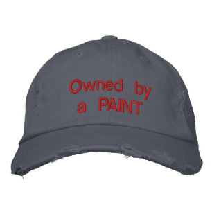 Gorra Bordada Propiedad de un PAINT