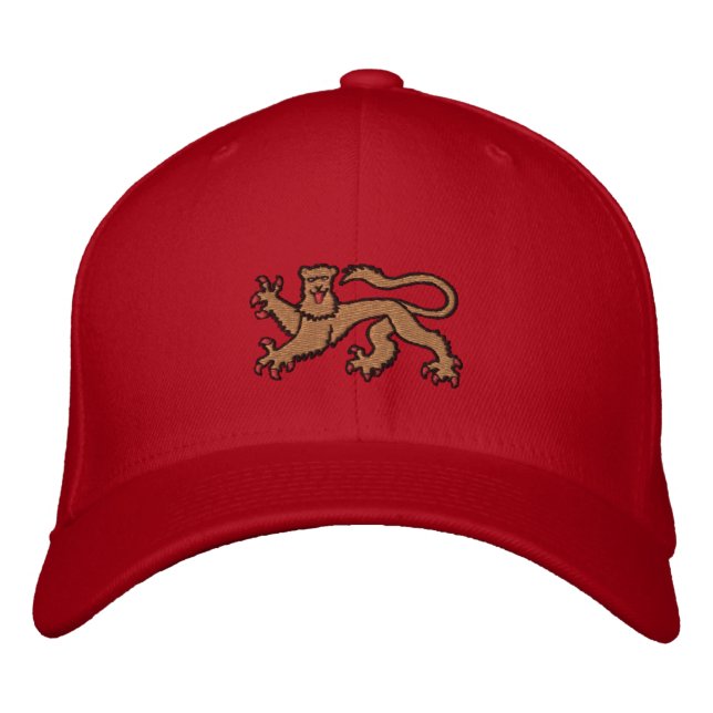 Gorra Bordada Ropa empanada (Anverso)