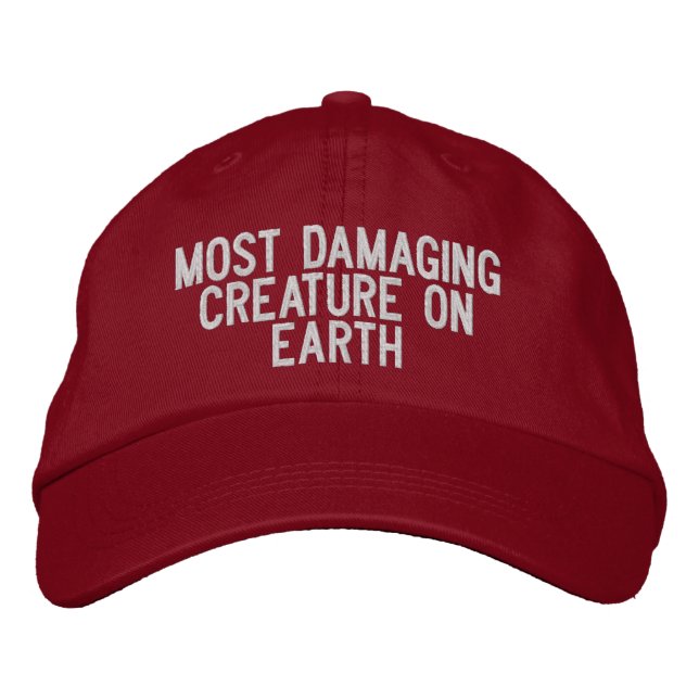 Gorra Bordada Sombrero Bordado (Anverso)
