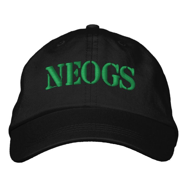Gorra Bordada sombrero de béisbol NEOGS (Anverso)
