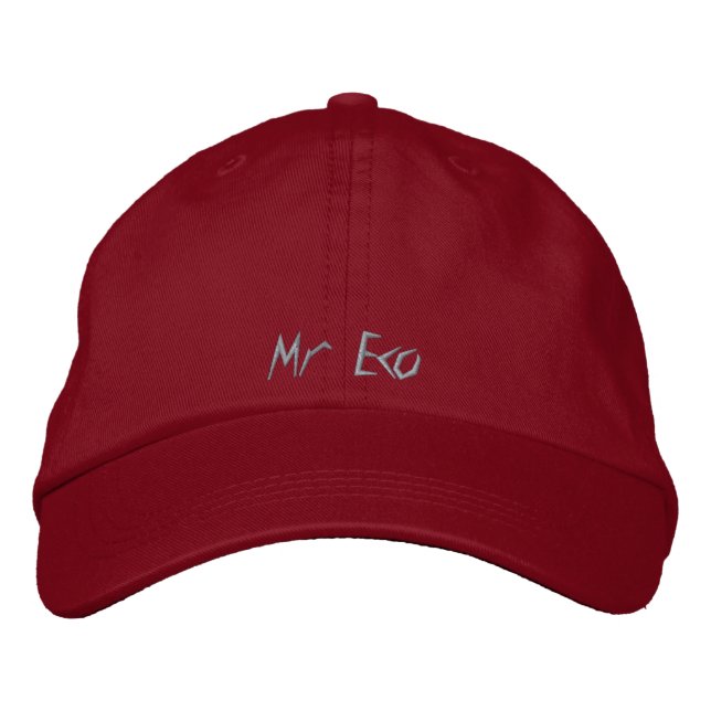 Gorra Bordada Tapa borrosa de ESTILO ARTE Y DISEÑO (Anverso)