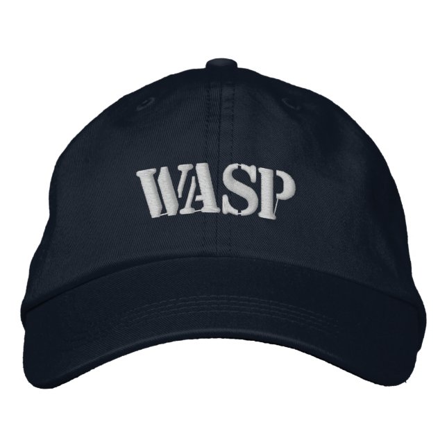 GORRA BORDADA TAPÓN DE BÉISBOL BROIDEADO WASP (Anverso)