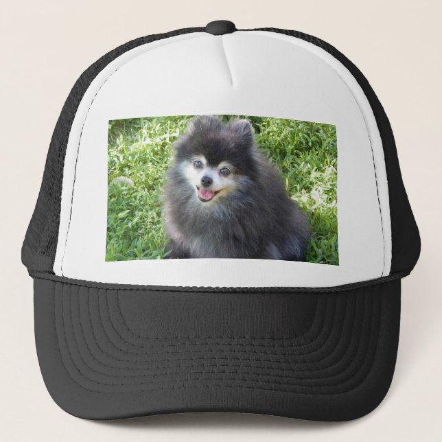 gorra con foto original de Pomerania (Anverso)