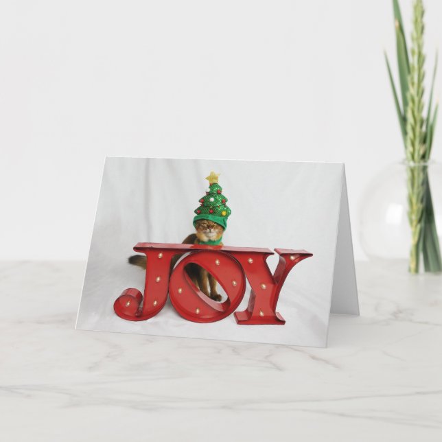 Gorra cuestionable del gato del árbol de navidad (Anverso)