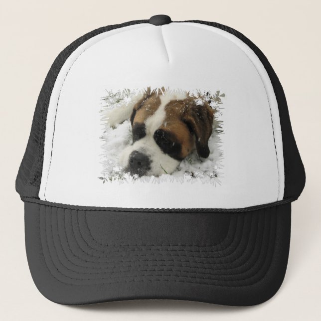 Gorra de béisbol del perro de St Bernard (Anverso)