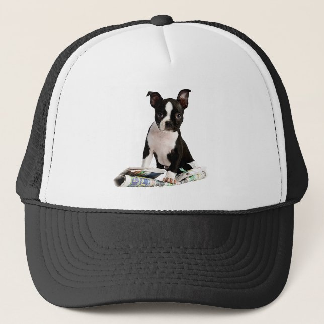 Gorra de Boston Terrier (Anverso)