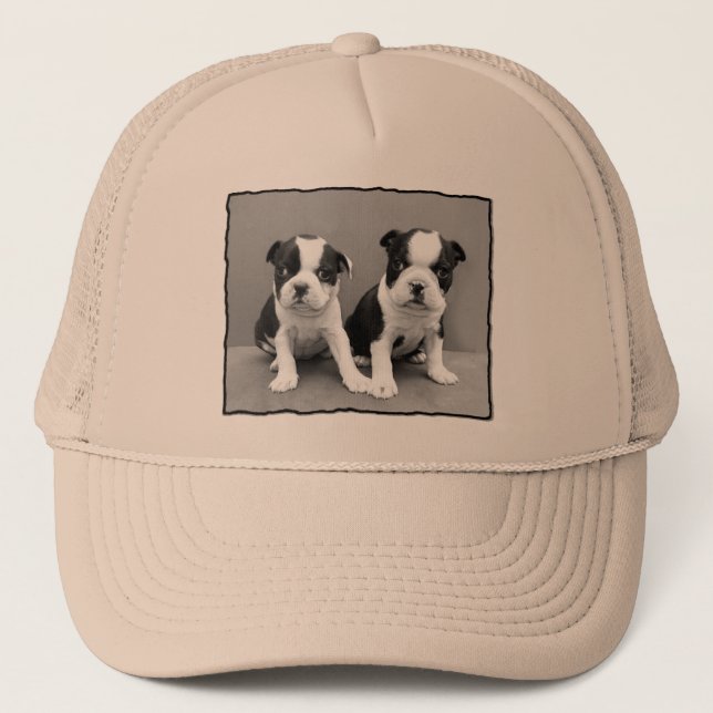 Gorra de Boston Terrier (Anverso)