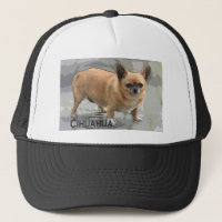 チワワчихуахуаצ'יוואווה   de la chihuahua