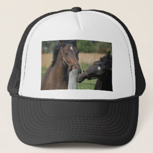 Gorra De Camionero 2 caballos mordiendo una estaca de cerca