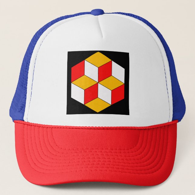 Gorra De Camionero 3.ᵉʳ cubos (Anverso)