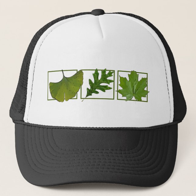 Gorra De Camionero 3 hojas (Anverso)