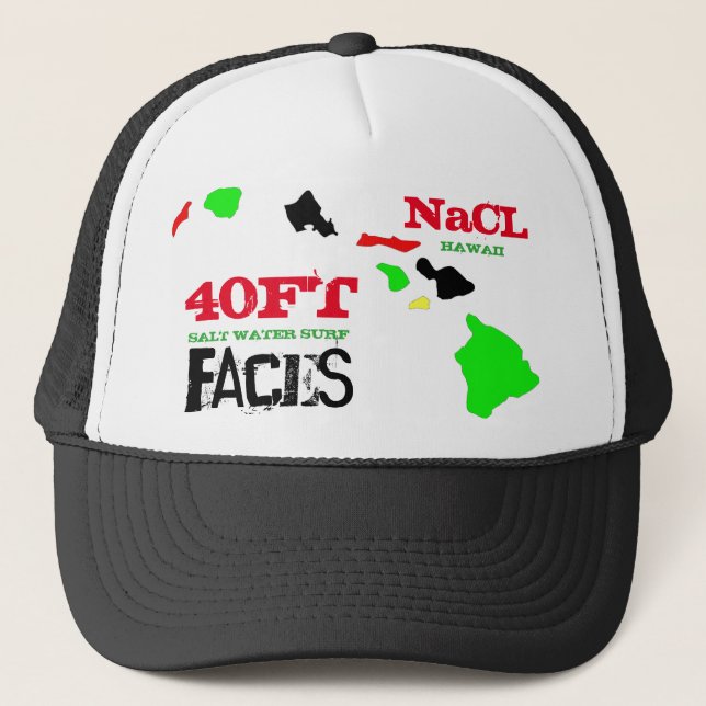 Gorra De Camionero 40 PIES CARAS NaCL OLAS HAWAII (Anverso)