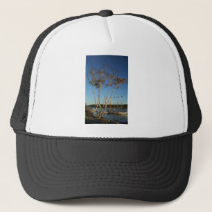 Gorra De Camionero Abedul de oro con la nave