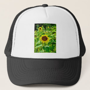 Gorra De Camionero Abeja en el girasol amarillo