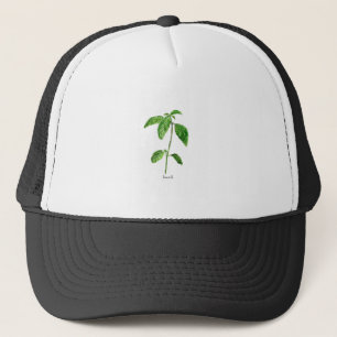 Gorra De Camionero Acuarela de jardín de hierbas verdes de Basil