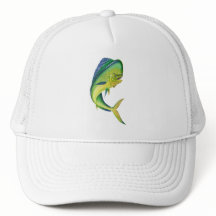 acuarios de los tops de acuario del mahi del mahi