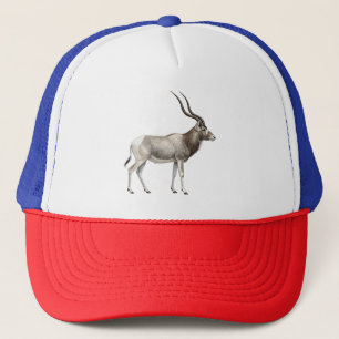 Gorra De Camionero addax