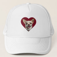 Adorable Chihuahua in Heart Shape Design