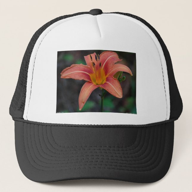 Gorra De Camionero Agradable Tawny Daylily Appary regalos (Anverso)