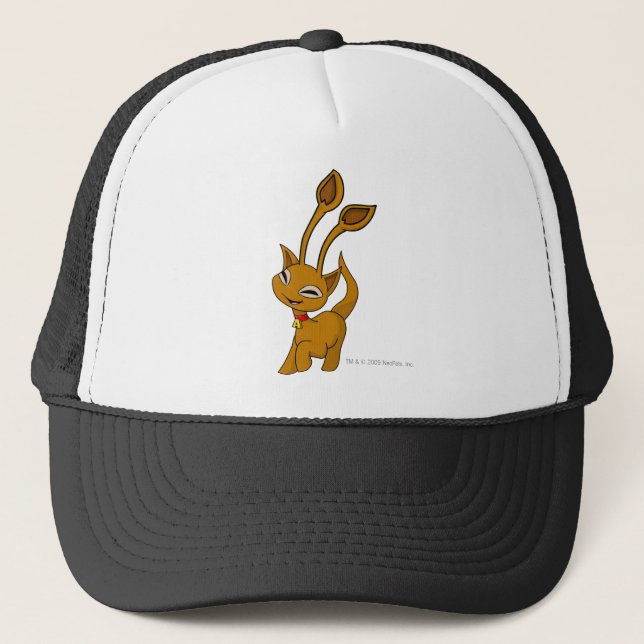 Gorra De Camionero Aisha Brown (Anverso)