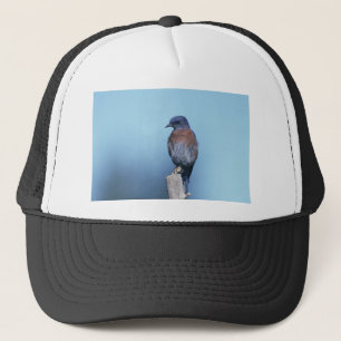 Gorra De Camionero Aluminio
