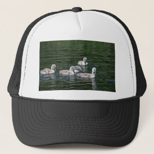 Gorra De Camionero Amigos de la nadada