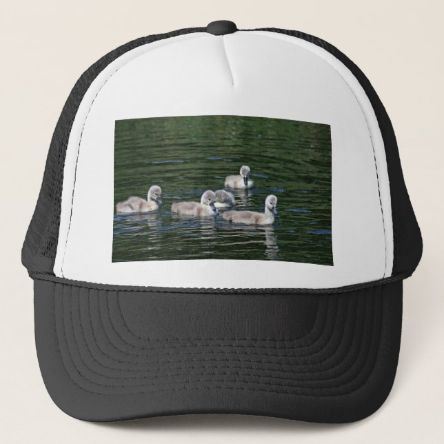 Gorra De Camionero Amigos de la nadada (Anverso)