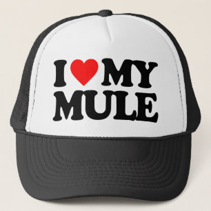 GORRA DE CAMIONERO AMO MI MULA