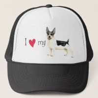 Amo mi Teddy Roosevelt Terrier