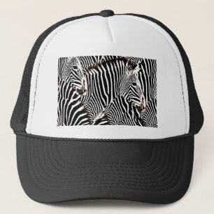 Gorra De Camionero Amor de las cebras_