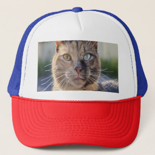 Gorra De Camionero Añadir Personalizar de fotos de gato