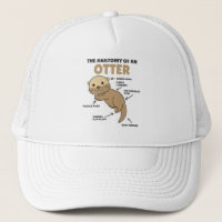 Anatomía De Explicación De Otter Cute De Un Otter