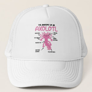 Gorra De Camionero Anatomía Explicativa Axolotl De Un Axolotl