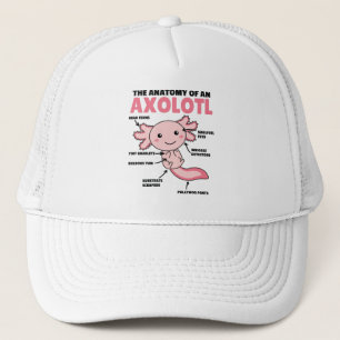 Gorra De Camionero Anatomía Explicativa Axolotl De Un Axolotl