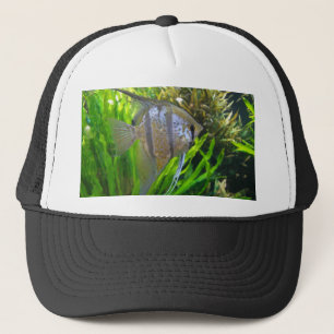 Gorra De Camionero Angel Fish
