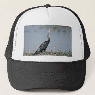 Gorra De Camionero Animal-Anhinga