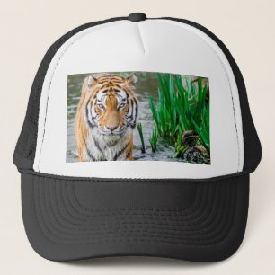 Gorra De Camionero ¡Animal, gorra, a la venta!