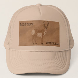 Gorra De Camionero Antelope del suroeste de Pronghorn