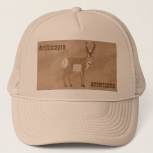 Gorra De Camionero Antelope del suroeste de Pronghorn