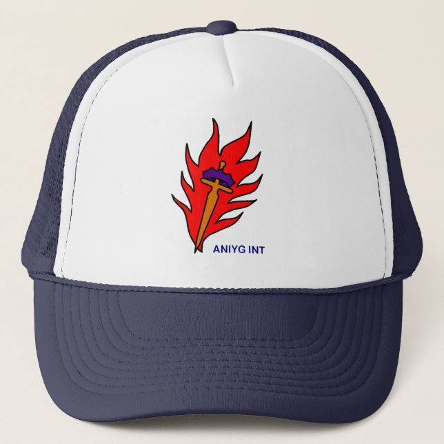Gorra De Camionero anyglogosm (Anverso)