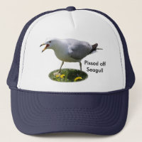 Apagado Pissed gaviota