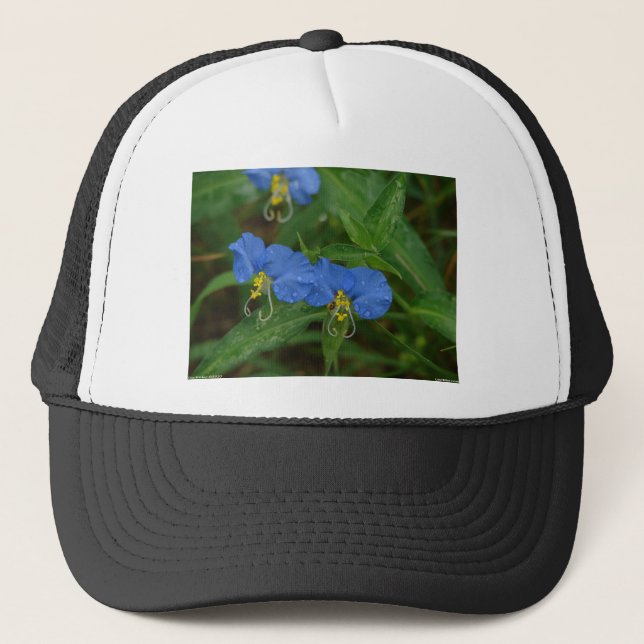 Gorra De Camionero Aparatos y regalos asiáticos de Dayflower Blue WIl (Anverso)