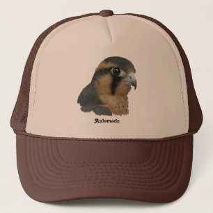 Gorra De Camionero Aplomado